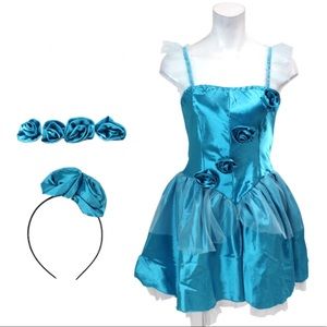 Adult Cinderella Costume